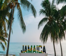 Jamaica sign. Jamaican flag with palm trees. Tropical palm tree